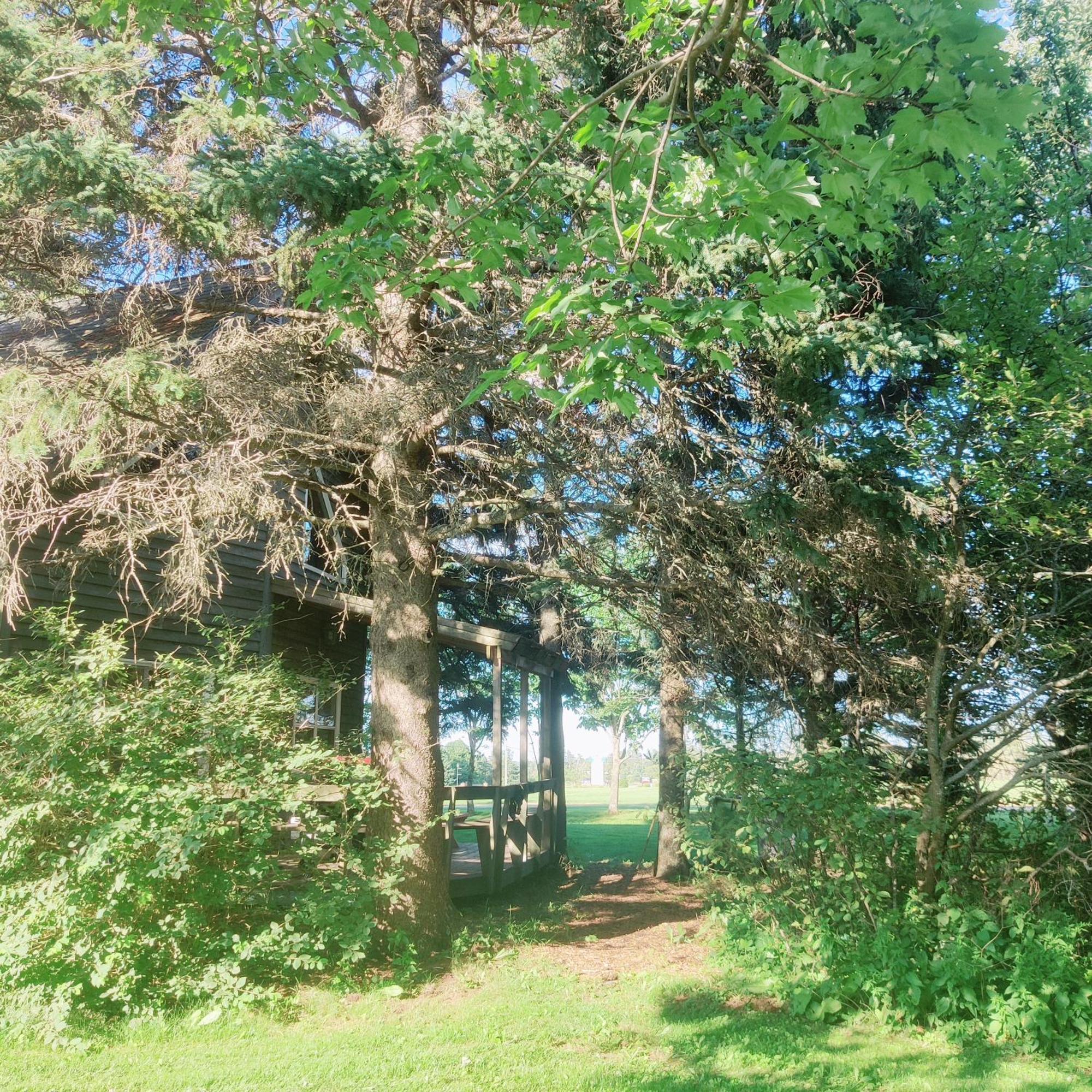 Avonlea Forest Hill Cottages New Glasgow Экстерьер фото