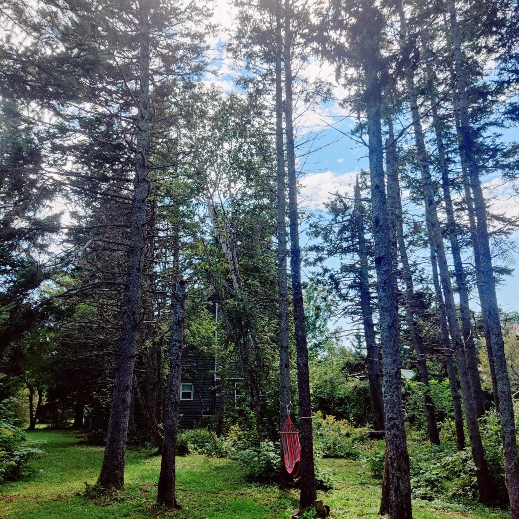 Avonlea Forest Hill Cottages New Glasgow Экстерьер фото